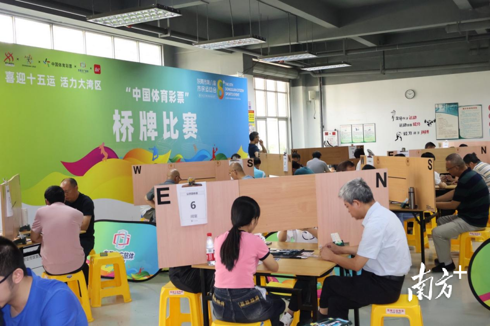 本次桥牌比, 搭建了高水